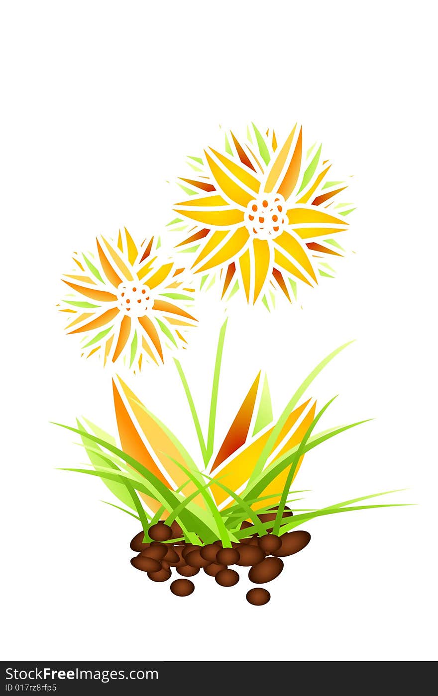 Beautiful flower on white. Vector icon