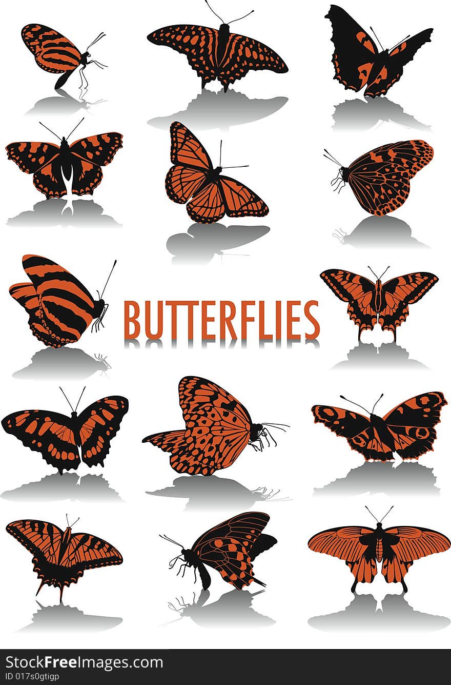 Two-tone silhouettes of butterflies, part of a new collection of subjects. Two-tone silhouettes of butterflies, part of a new collection of subjects