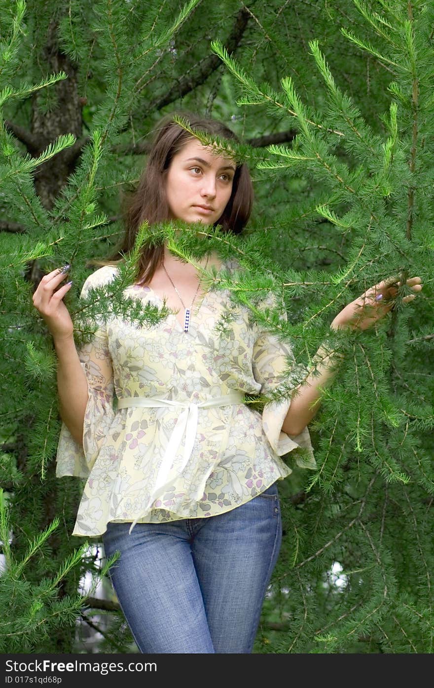 Attractive girl is between larch branches in a city park, vertical. Attractive girl is between larch branches in a city park, vertical