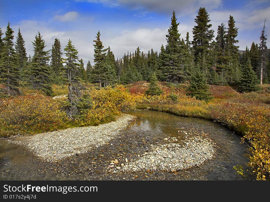 Shallow small river, shallows and multi-coloured autumn grasses on coast. Shallow small river, shallows and multi-coloured autumn grasses on coast