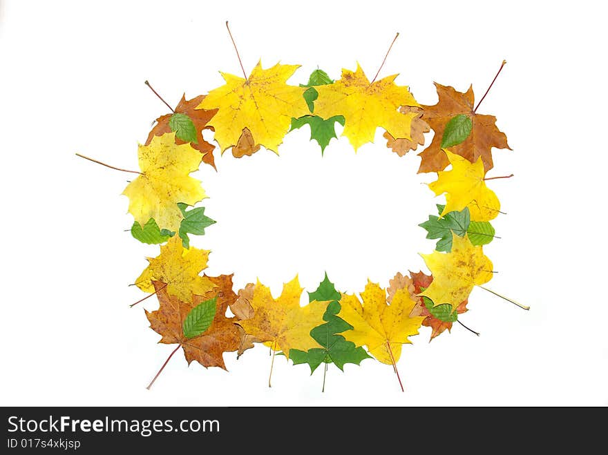 Frame with colored autumn maple leaves - white background