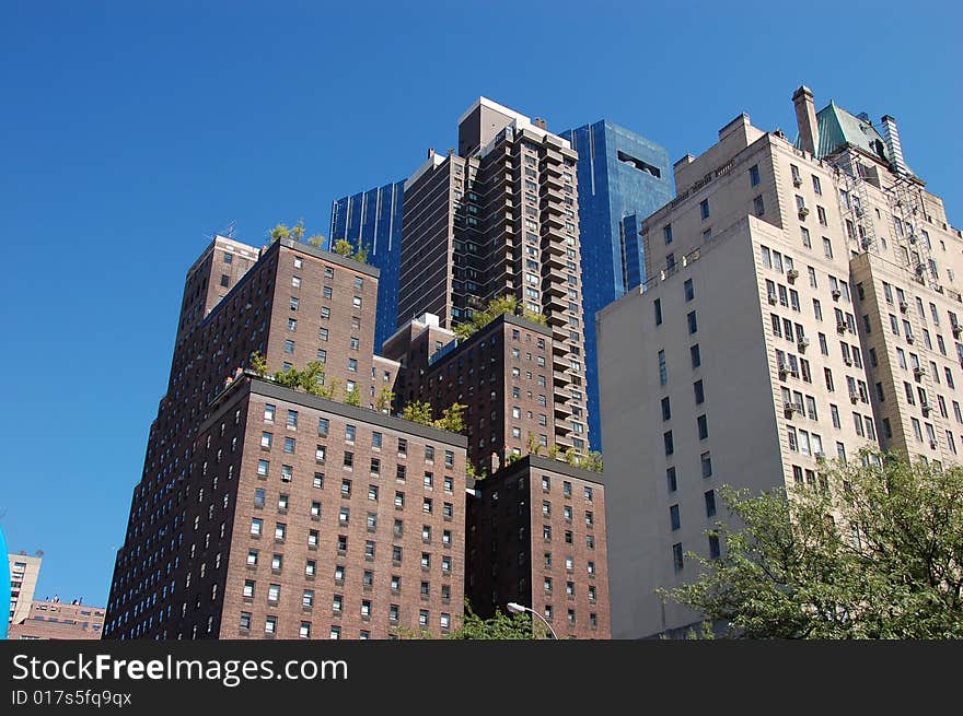 Skyscrapers with trees on the top in New York