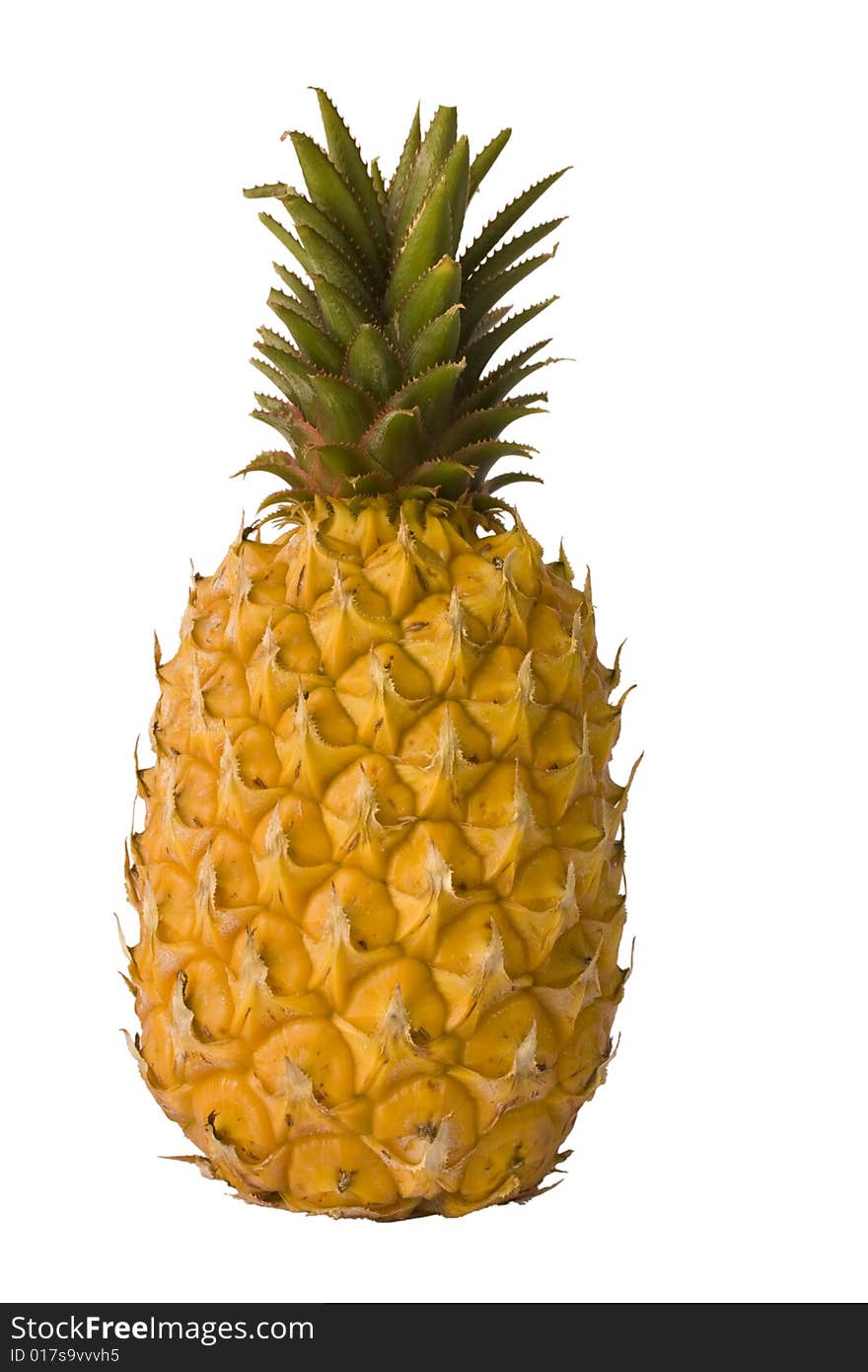 Pineapple On White