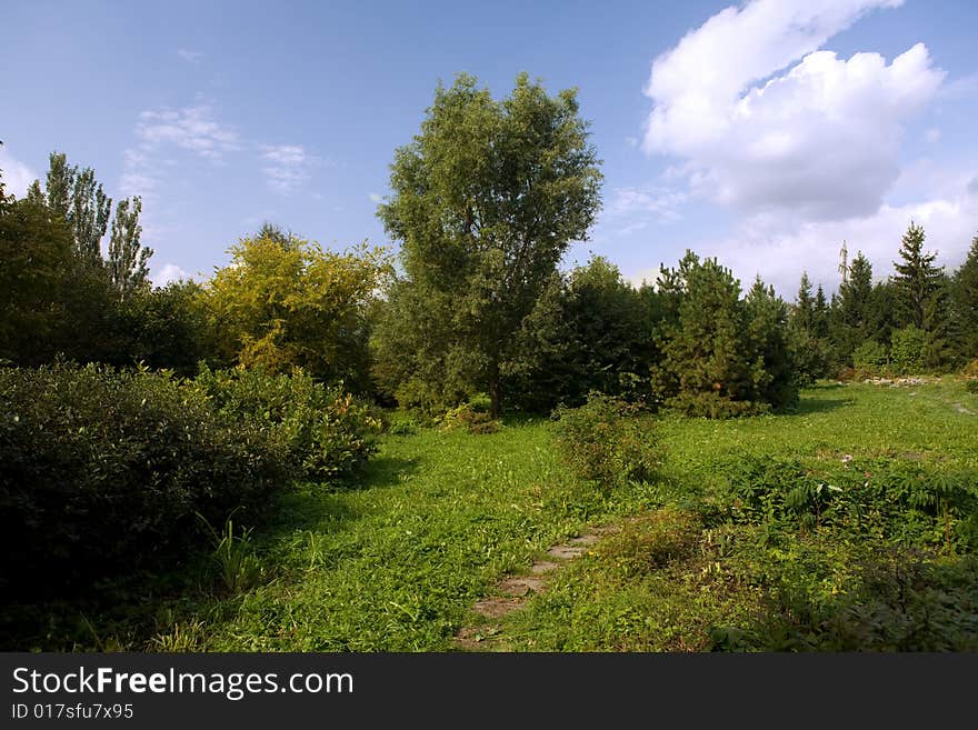 The picture is made during walk on a botanical garden. The picture is made during walk on a botanical garden