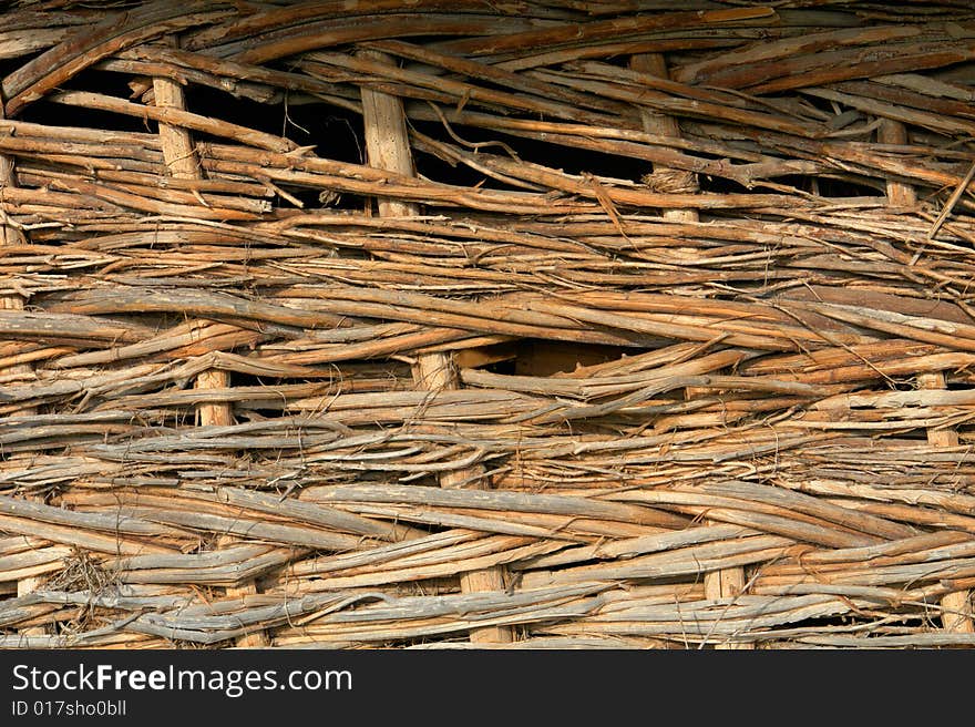 Structure of a tree old