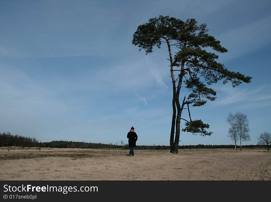 Girl walking towards a tree on a sand drift in the North of Holland. Girl walking towards a tree on a sand drift in the North of Holland