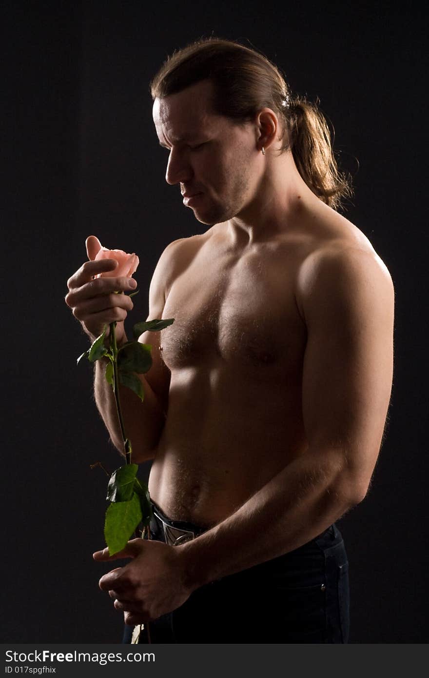 Standing romantic man with pink rose. Standing romantic man with pink rose