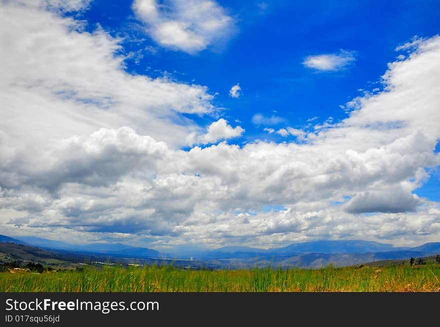 Beautiful meadow and sky