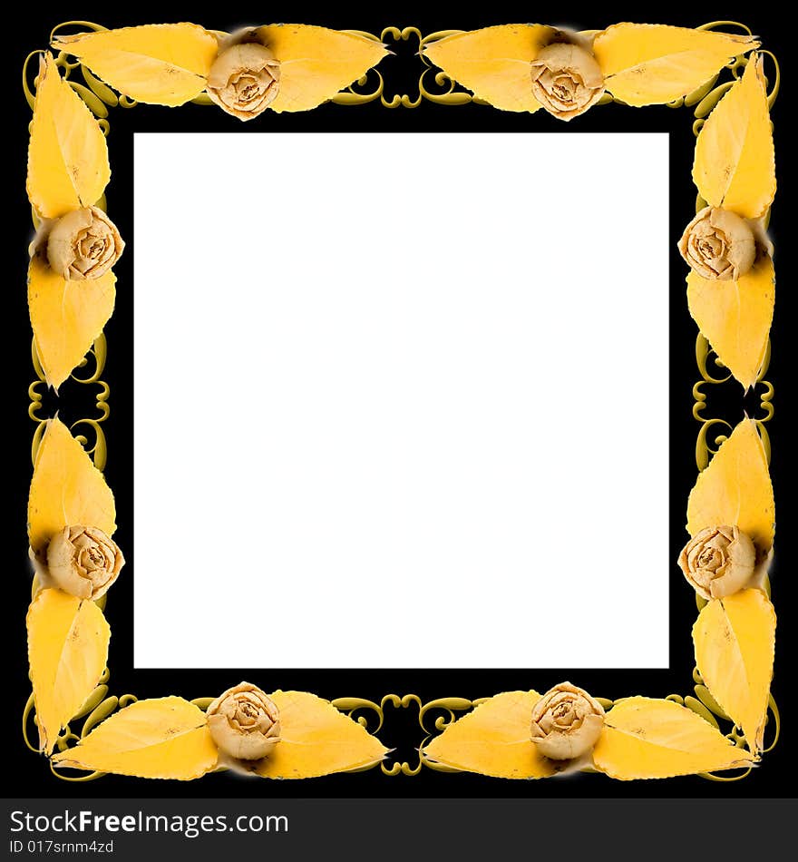 Dry leafs and flowers frame for your design