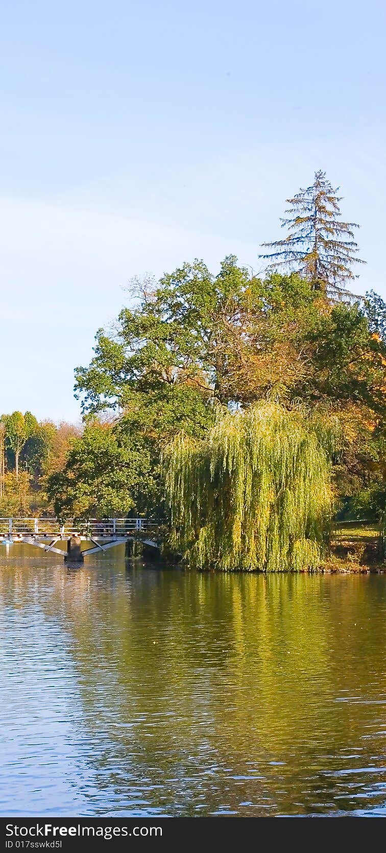 Autumn lake background