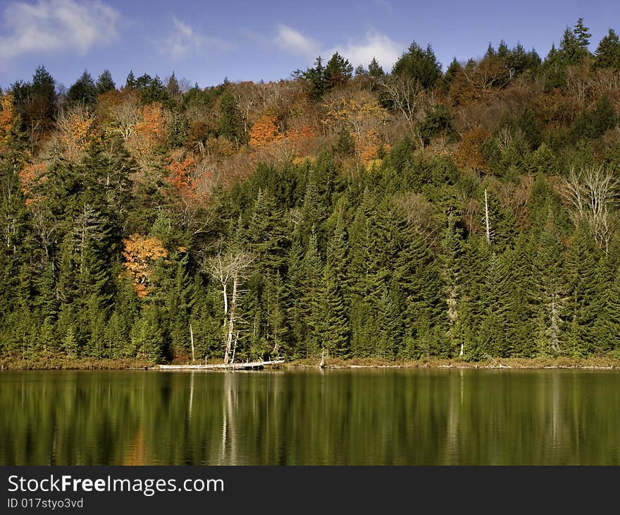 Colorful foliage around the lake. Colorful foliage around the lake