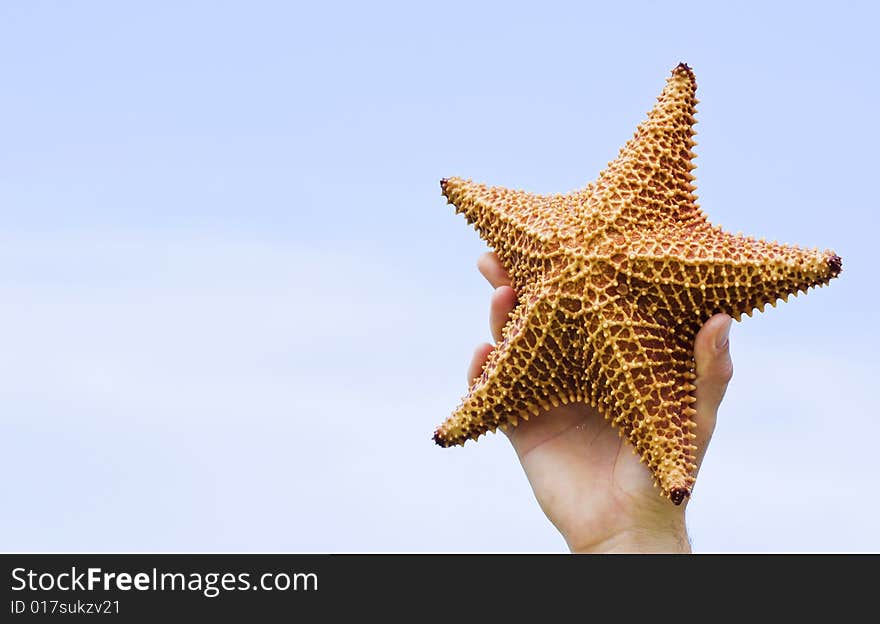 Hand holding starfish in the sky