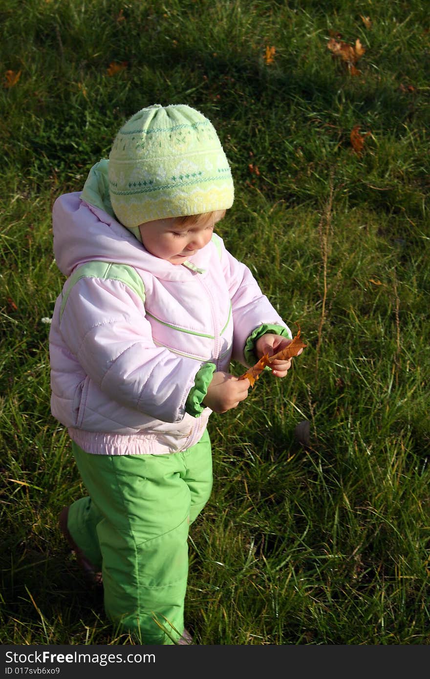 A little girl goes and examines a maple-leaf