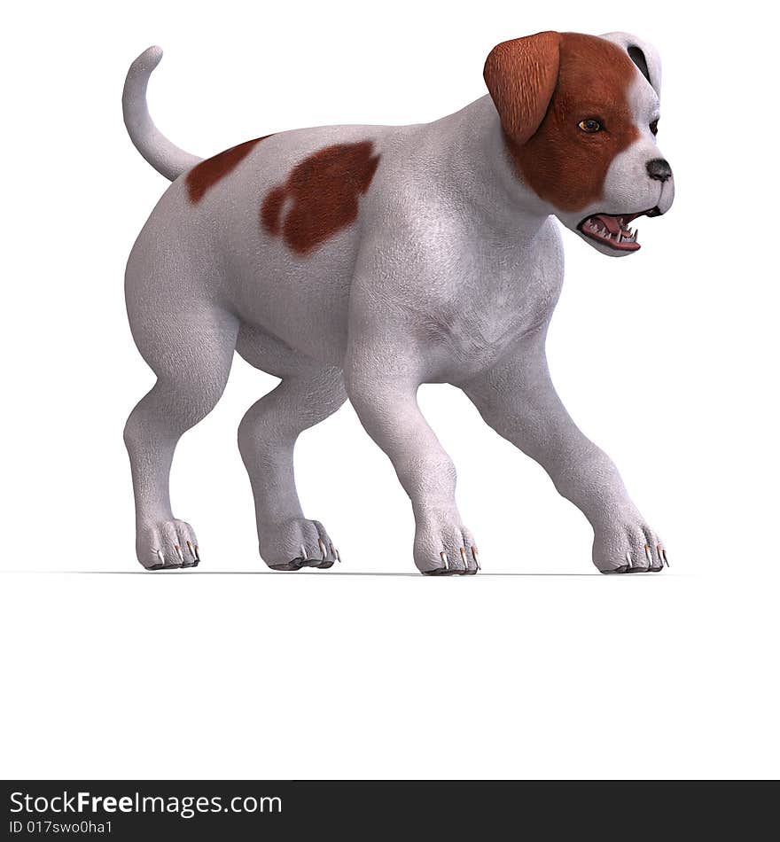 Very cute young dog over white with Clipping Path. Very cute young dog over white with Clipping Path