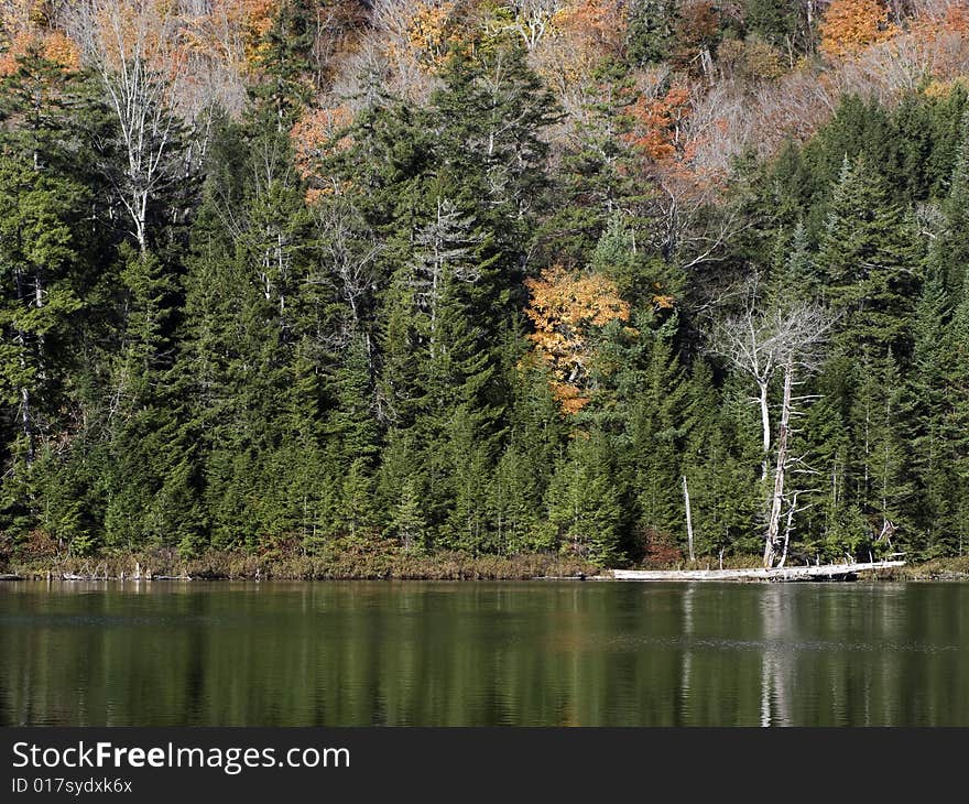 Colorful Foliage around the Lake. Colorful Foliage around the Lake