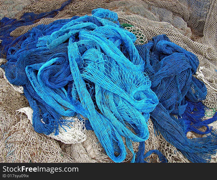 Fisher Nets