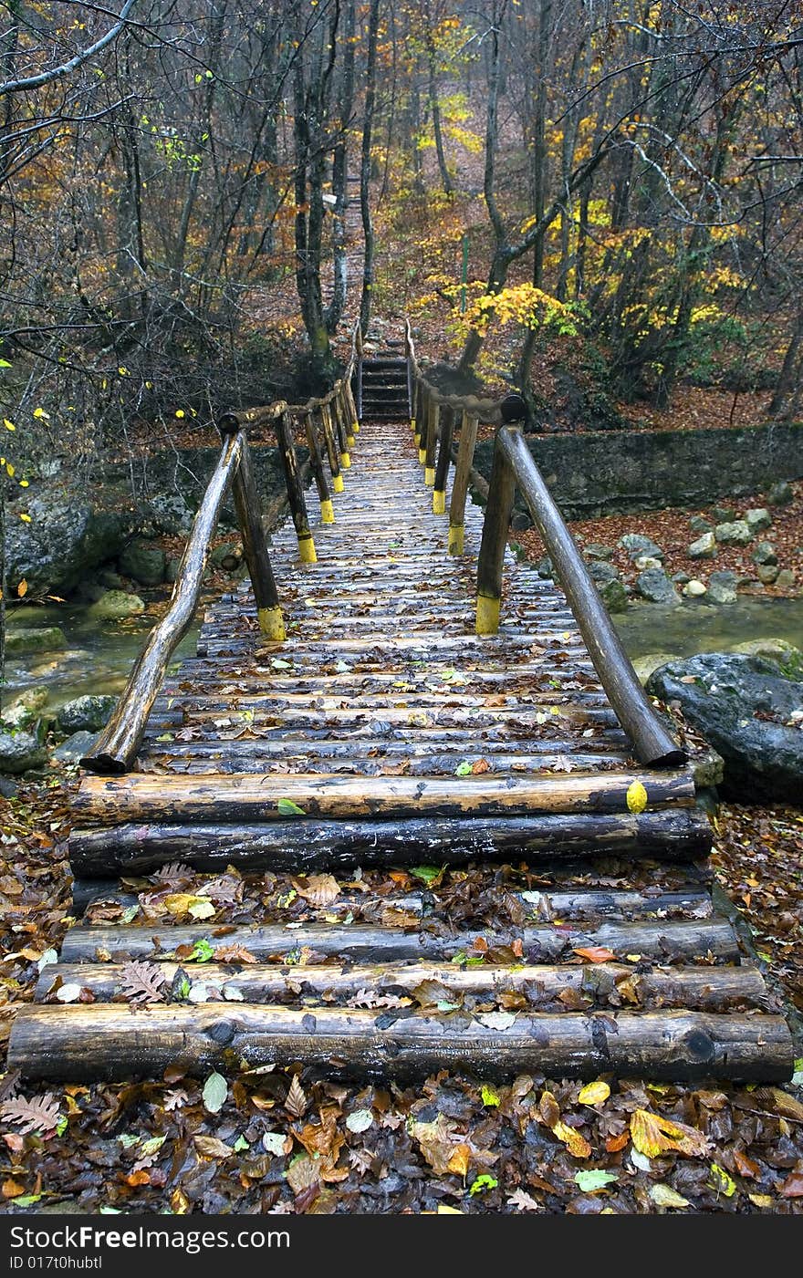 The bridge from logs through the river in the Grand Canyon of Crimea