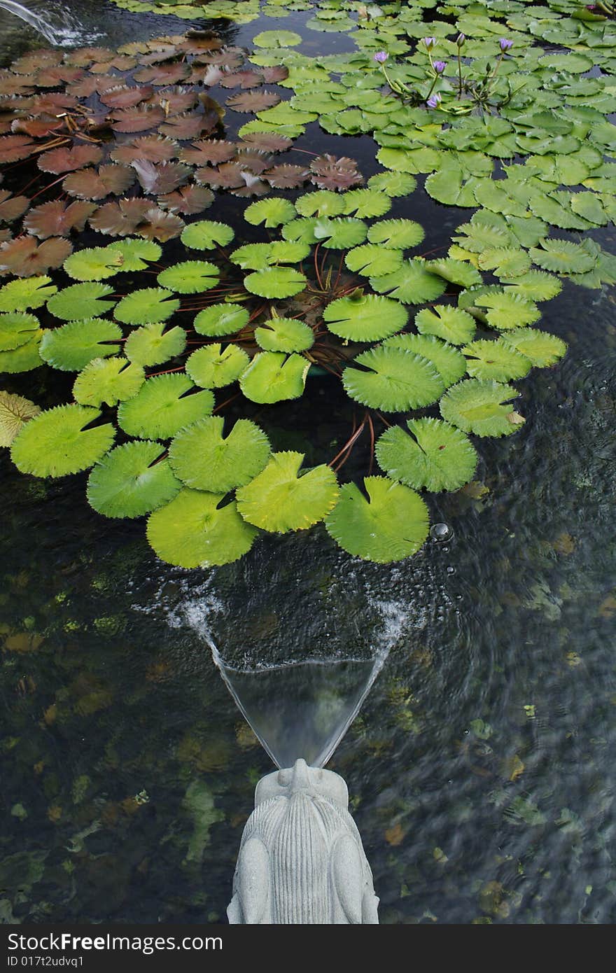 Pond In Chinese Temple