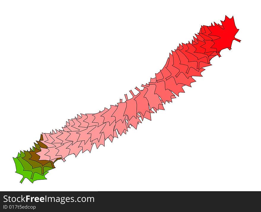 Abstract Movement of a Maple Leaf. Abstract Movement of a Maple Leaf