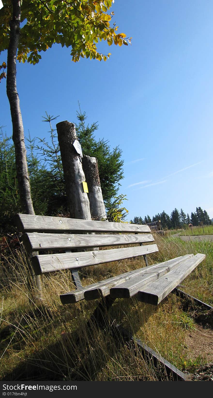 Bench for the wanderers in the autumn. Bench for the wanderers in the autumn