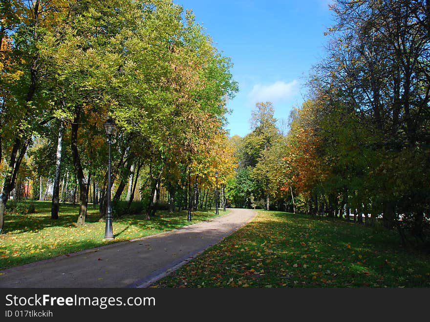 Autumn in park