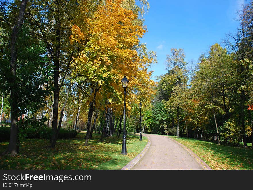 Autumn in park