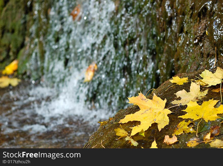 Yellow autumn leaves on a background a waterfall