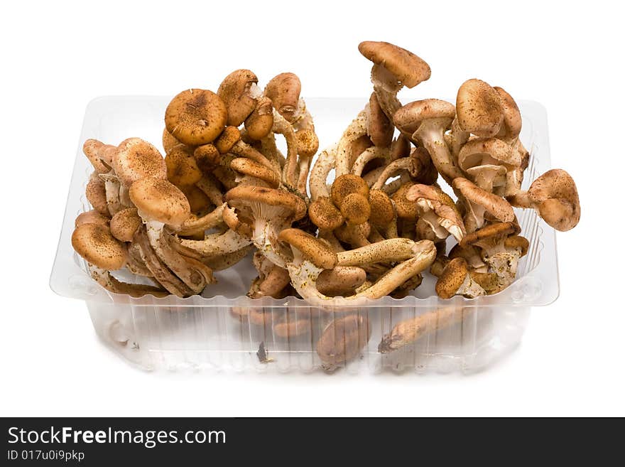 Mushrooms in a plastic box on a white background