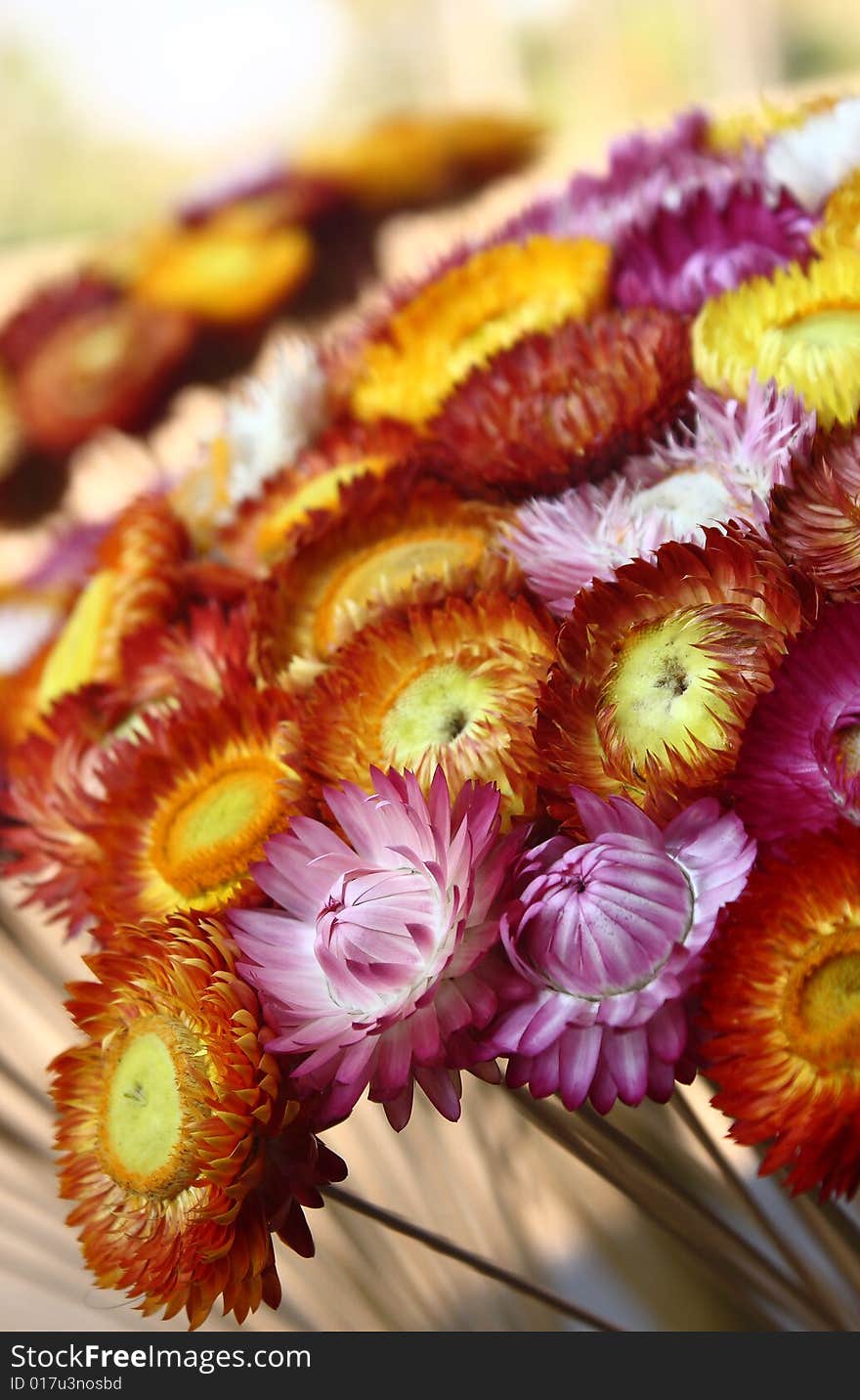 Thai Flowers