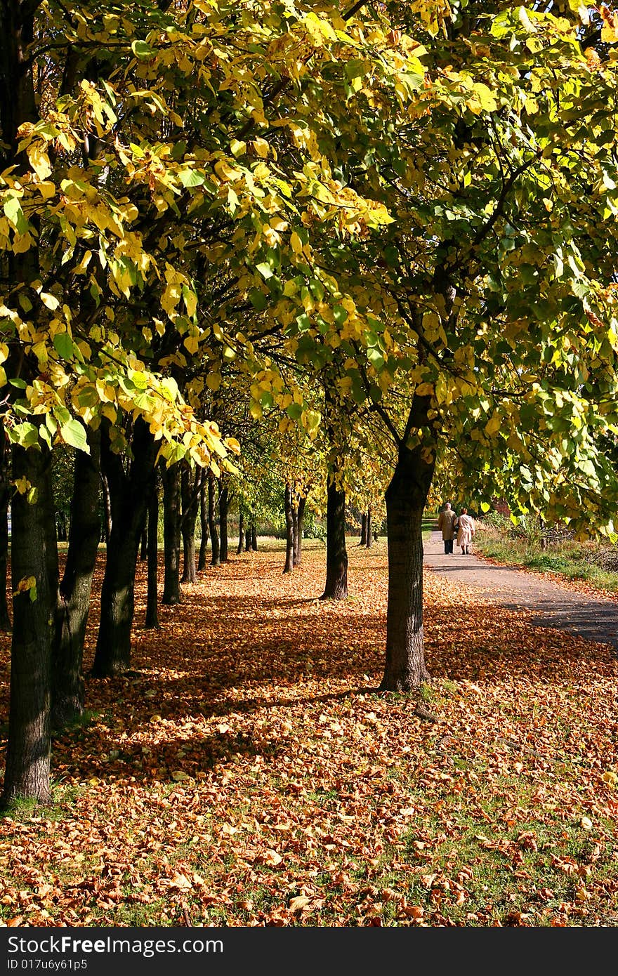 Two old people walking through the park during sunny autumn, colour fallen leaves on the ground. Two old people walking through the park during sunny autumn, colour fallen leaves on the ground