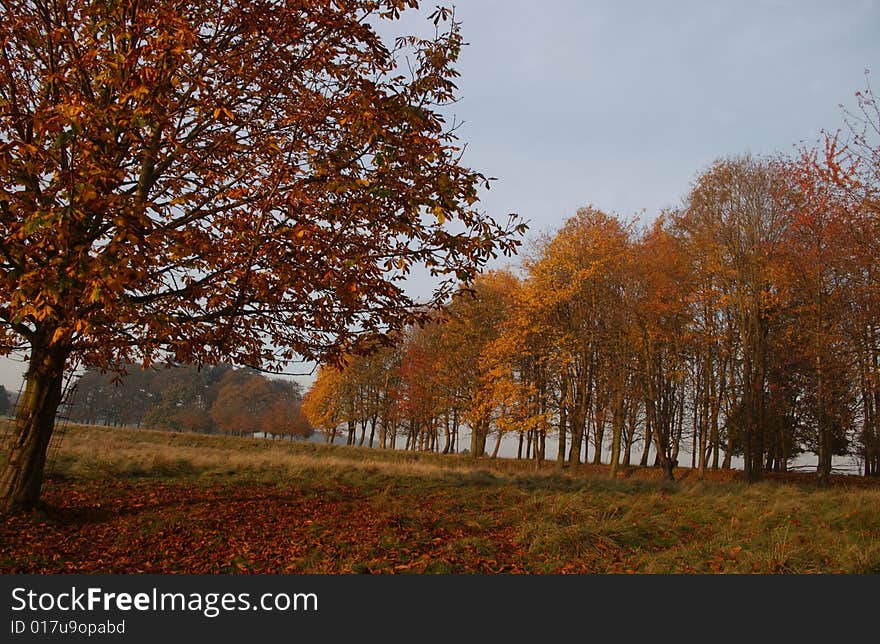 Autumn day in Tatton Park