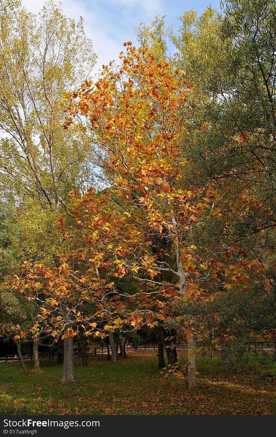 Entrance into national park 'Krka' in Croatia in autumn. Entrance into national park 'Krka' in Croatia in autumn