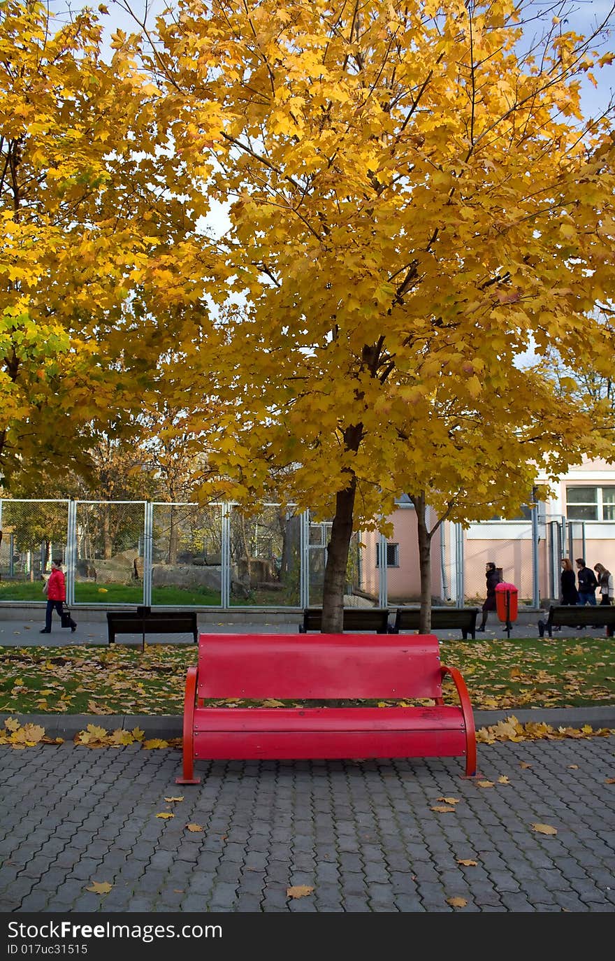 The Red metal bench in autumn park. The Red metal bench in autumn park