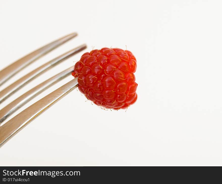 Close up on red rasberry