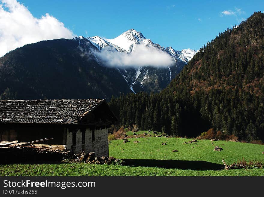 Landscape in Shangrila