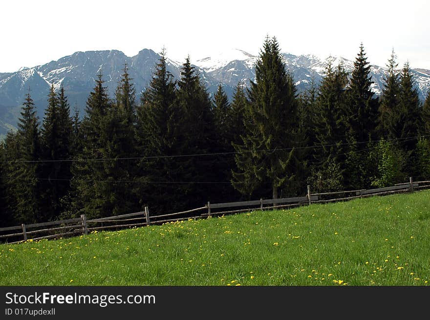 Green meadow and high mountains