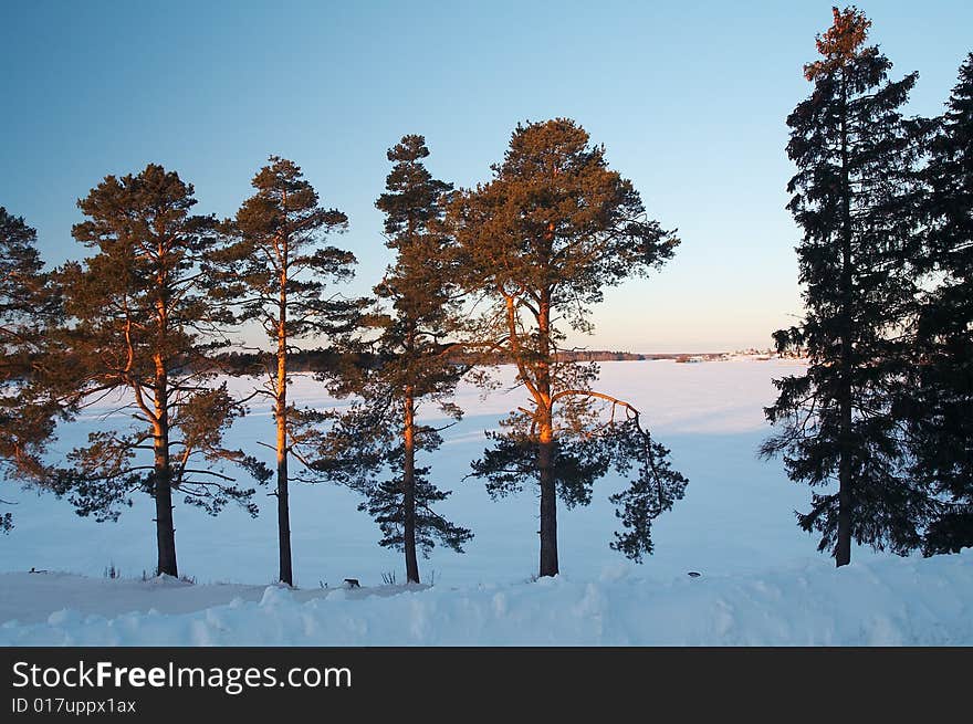 Country landscape - lake under ice. Country landscape - lake under ice