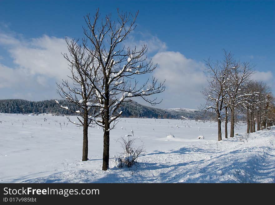 Plain under snow