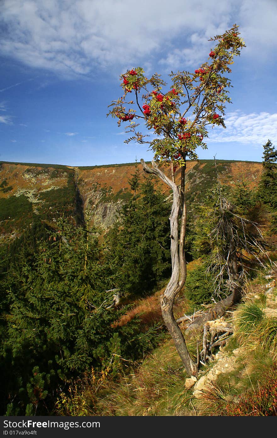 Mountain in the Czech republic. Mountain in the Czech republic