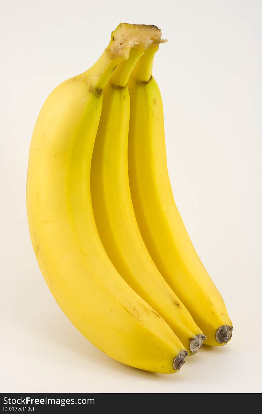 Bunch of three bananas isolated on white background. Bunch of three bananas isolated on white background