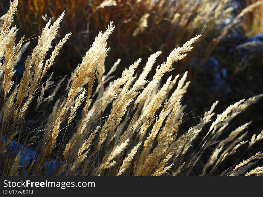 Pile of straw in evening sunlight. Pile of straw in evening sunlight