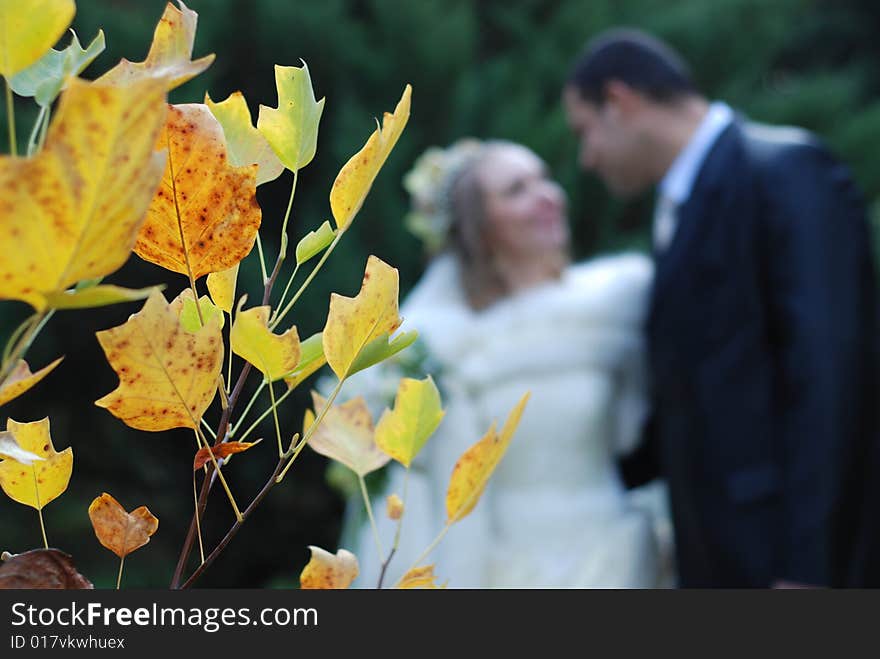 The newly married couple in autumnal park. The newly married couple in autumnal park