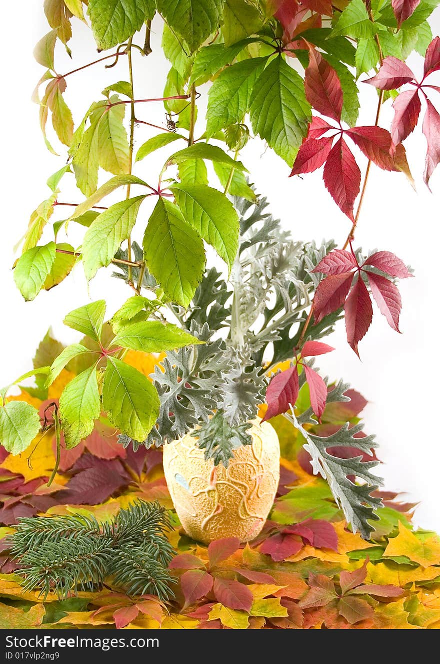 Autumn bouquet in yellow vase