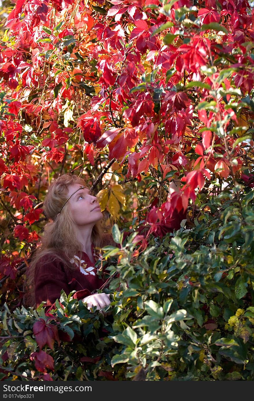 The blonde girle in medieval red dress in the autumn forest. The blonde girle in medieval red dress in the autumn forest