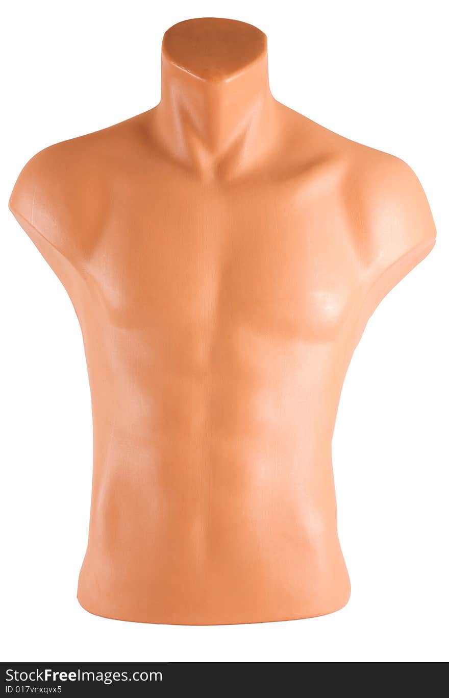 L Size Plastic Mannequin