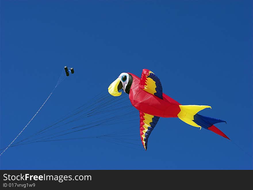 Parrot.
Fantasy Kite High-Up in the Sky a Sunny Day on the Beach. Kite Flying Festival on Fanoe, Denmark. Parrot.
Fantasy Kite High-Up in the Sky a Sunny Day on the Beach. Kite Flying Festival on Fanoe, Denmark.