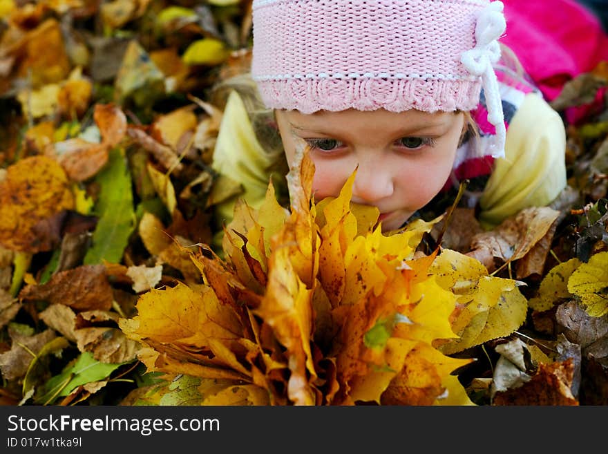 A little girl keeping yellow maple leaves. A little girl keeping yellow maple leaves