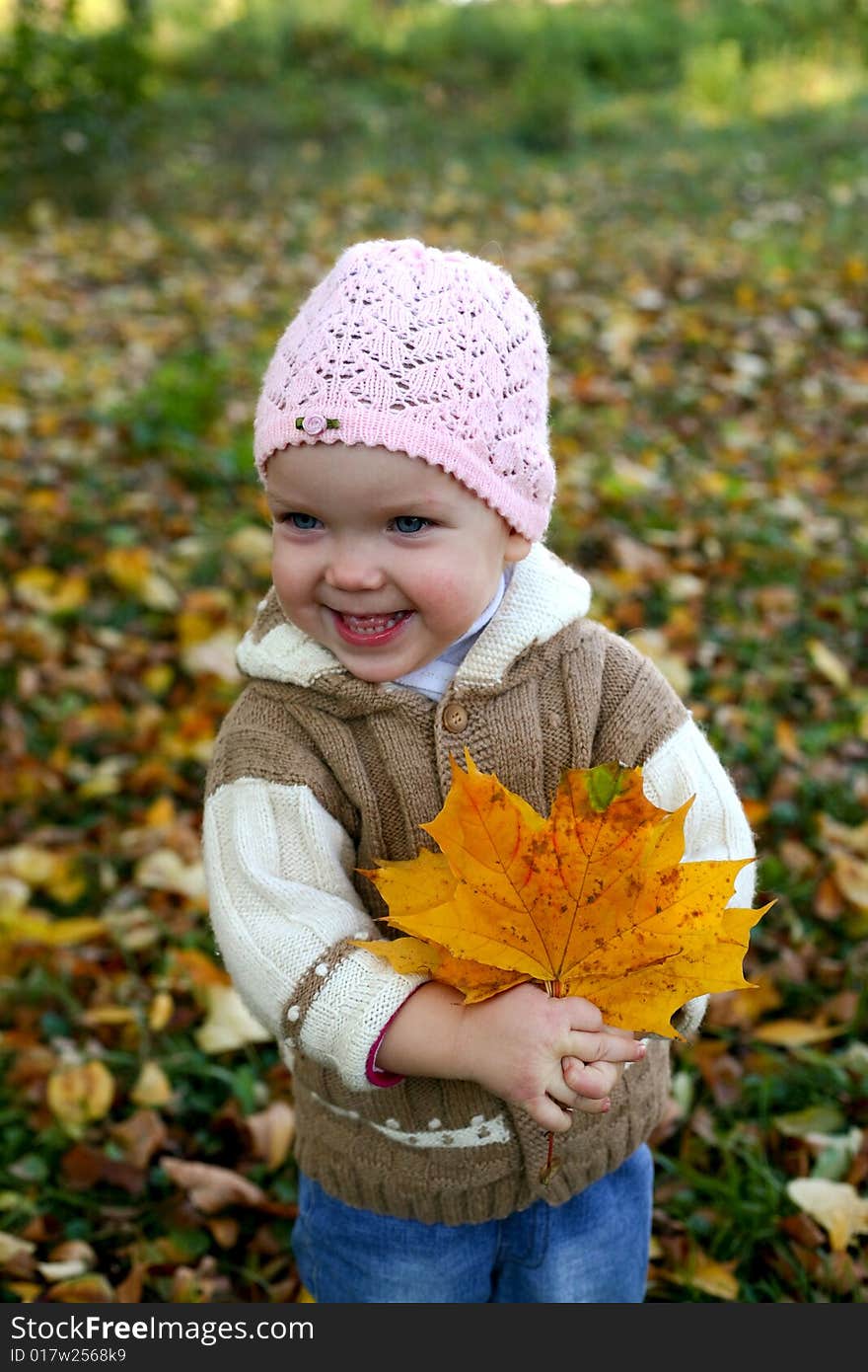 A little girl keeping yellow maple leaves in her hands