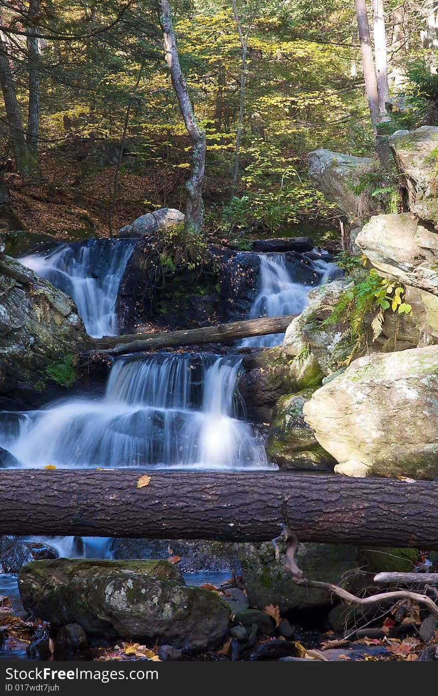 A waterfall in the forest