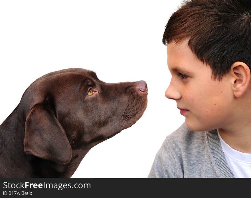 Shot of a gorgeous labrador and her young master. Shot of a gorgeous labrador and her young master